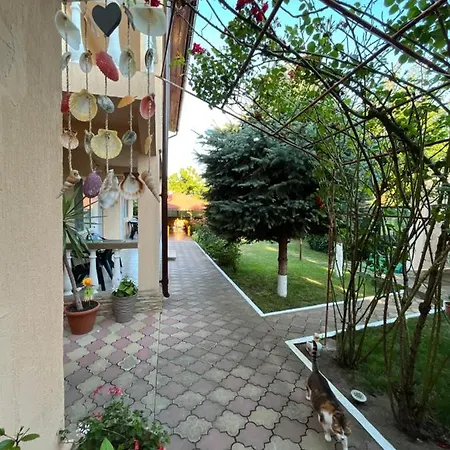 Casa Picu Πανσιόν *