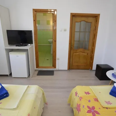 Casa Picu بيت ضيافة كوستِنيست