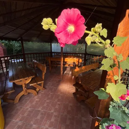 Casa Picu * Costinesti