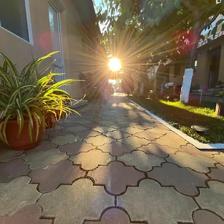 Guest house Casa Picu *